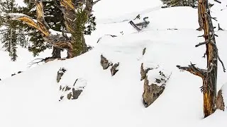 Thumbnail: The SNOWBOARDER Movie: Tangle—Bode Merrill