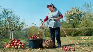 Thumbnail: How to Make Natural Apple Juice │ The Traditional Village Recipe for Apple Juice! 🍎
