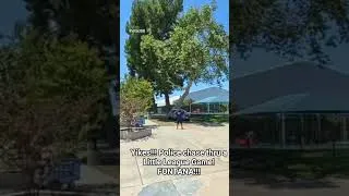 Thumbnail: yikes, police chase thru a Little League game in Fontana