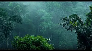 Thumbnail: RAIN RELAXING SOUND || 4 HOURS || PEACEFUL || DEEP SLEEP || CHILLOUT || STRESS RESIEST || RAIN (HQ)