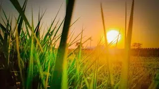 Thumbnail: Morning Walk Travel Vlog | A Peaceful Start to the Day 🌄💬