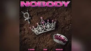 Thumbnail: Trim & Monaleo - Nobody (Feat. G Herbo) (Remix) [Clean]