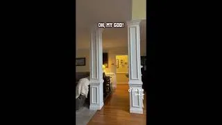 Thumbnail: Stan's day just got a lot worse!