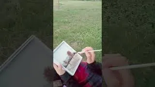 Thumbnail: 🎨🖌️❤️ #nature #art #viral #painting #pleinairpainting