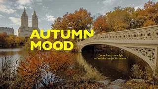 Thumbnail: 뉴욕 가을 감성 플레이리스트 🍂 | 따뜻한 어쿠스틱 팝 노래 모음, 광고 없음