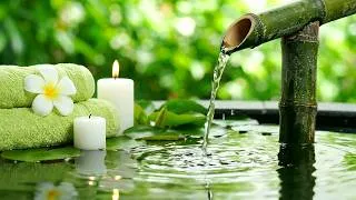 Thumbnail: Bamboo Water Fountain 🎋 Meditation Piano, Clear Water Sounds and Night Calm • Sleep, Study and Spa
