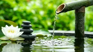 Thumbnail: Relaxing Piano Music for Deep Sleep and Nighttime Peace 自然の音とともに音楽をリラックス バンブーウォーターファウンテン 【癒し音楽BGM】