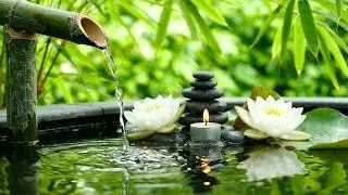 Thumbnail: Night Relaxation 🎹 Calm Bamboo Water Garden in Misty Bamboo Forest with Soft Piano for Calm Focus