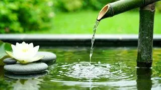 Thumbnail: Still Pond Bamboo Fountain 🍃 Clean Water Ambience with Minimal Piano Notes for Emotional Balance