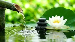 Thumbnail: Serene Water Garden with Zen Piano Music for Healing Rest 自然の音とともに音楽をリラックス バンブーウォーターファウンテン 【癒し音楽BGM】