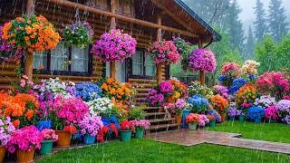 Thumbnail: Stunning Flower Rain Garden Escape 2026 🌸 Walk Through the Most Beautiful Garden in Full Bloom #1