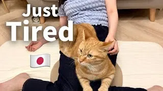 Thumbnail: Just Tired | A Nurse's Recovery Day in Japan 🌿🇯🇵