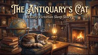 Thumbnail: The Antiquary's Cat | A Cozy Victorian Sleep Story