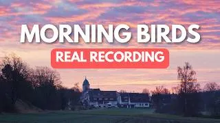 Thumbnail: German Countryside Sunrise | Morning Bird Songs & Farm Sounds - 1 Hour Relaxation