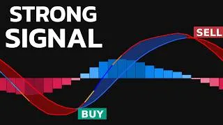 Thumbnail: The Mother of All Indicators! It Gives the MOST Accurate Buy/Sell Signals!