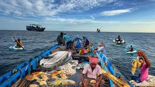 Thumbnail: ⚠️ Inside the World's Most Dangerous Squid Fishing Journey at Sea