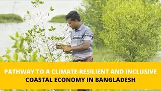 Thumbnail: An Integrated Approach to Mangrove Aquaculture in Bangladesh