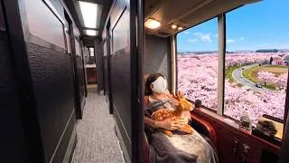 Thumbnail: 2 Day Cherry Blossom Trip on Japan’s Overnight First-Class Capsule Bus 🌸| Tokyo - Nara 🇯🇵