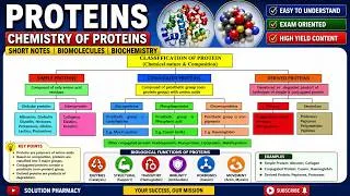 Thumbnail: (86) Proteins | Introduction, Chemistry, Classification & Biological Role of Proteins | Biomolecule
