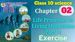 Thumbnail: Life Processes in Living Organisms Part -1 class 10 science and technology chapter 2 exercise