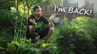 Thumbnail: I QUIT MY JOB to be a Creator + More