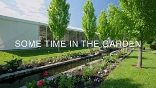 Thumbnail: A Thousand Peonies on Display at the 2026 Grand Bal des Pivoines | Parc Marie-Victorin