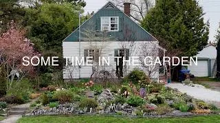 Thumbnail: Alpine & Crevice Garden Tour: Drought-Proof Rock Gardening Tips