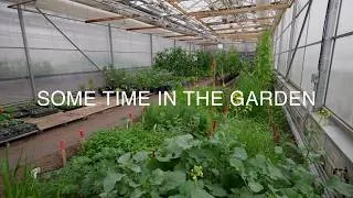 Thumbnail: Nordic greenhouses: teaching year round food reliance at Collège Lionel-Groulx.
