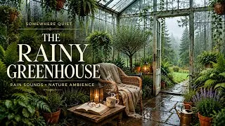 Thumbnail: Escape to a Rainy Greenhouse 🌿 Peaceful Rain Ambience