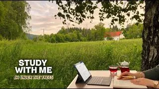 Thumbnail: 6 HOUR STUDY WITH ME 🌾 | Quiet Afternoon Under the Trees | Nature Sounds | No Music | Pomodoro 50/10