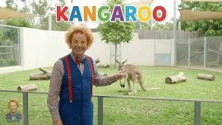 Thumbnail: Flippo Toys Animals at the Zoo:  lion, elephant, zebra, hippo, monkey, giraffe, wild animals