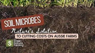 Thumbnail: Soil Microbes: Nature’s Solution to Cutting Costs on Aussie Farms