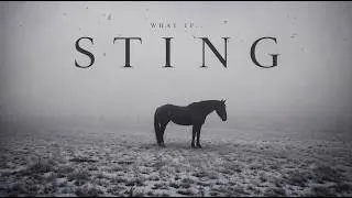 Thumbnail: What If STING Released an Orchestral Album? | Original Symphonic Music