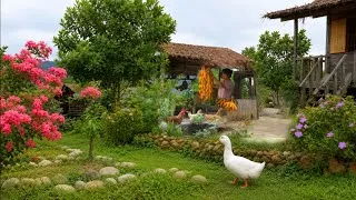 Thumbnail: Mountain Self-Sufficiency: Harvesting and Processing Corn the Traditional Way | Farm Animal Care