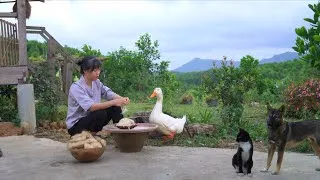 Thumbnail: Harvesting Wild Bamboo Shoots | Cooking and Caring for Farm Animals on the Mountain