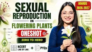 Thumbnail: Sexual Reproduction in Flowering Plants Class 12 Biology Chapter 1 | Board Exam 2027| NCERT + PYQs