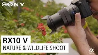 Thumbnail: RX10 V Wildlife & Nature Shoot With Miguel Quiles