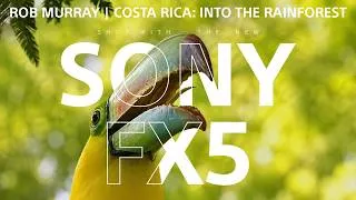 Thumbnail: Sony FX5 | Costa Rica: Into the Rainforest by Rob Murray
