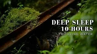 Thumbnail: Relax Your Mind in Minutes | 10 Hours of Soothing Water Sounds