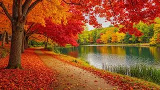 Thumbnail: Music Therapy for Overthinking 🍁 Autumn Sounds for Stress Relief & Healing #2