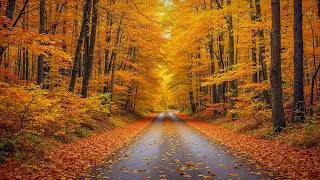 Thumbnail: Beautiful Relaxing Music 🍁 Autumn Music for Stop Overthinking & Healing Soul #2