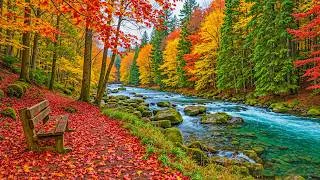 Thumbnail: Gentle Autumn Music for Anxiety Relief, Stop Overthinking and Deep Relaxation