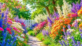 Thumbnail: A Beautiful Garden Where Your Mind Can Rest 🌿 Stress Relief Music and Soft Piano