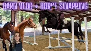 Thumbnail: Horse Swapping + a Day in My Life at the Barn!
