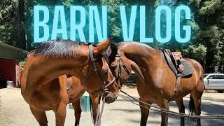Thumbnail: Riding Young Horses, Jumping Videos, & a New Way to Be Featured on My Channel!