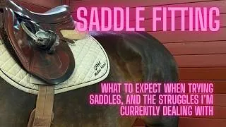 Thumbnail: Saddle Fitting Nightmare: Sharing My Experience So That You Can Avoid My Mistakes