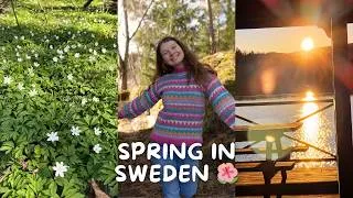 Thumbnail: Simple spring days in the North | Slow living