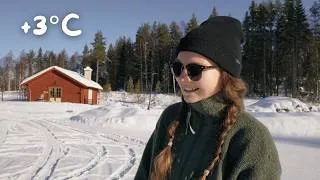 Thumbnail: The first signs of spring in the North 🌺