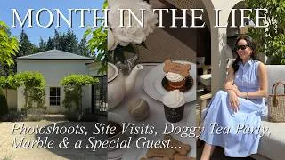 Thumbnail: Inside My Very Busy Month As An Interior Designer