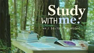 Thumbnail: 🍃🐦 4 HOUR STUDY WITH ME In A Magical Ancient Forest / No Music / ✨ Forest Ambience /  Pomodoro 50-10